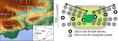 Prokaryotic Community Composition and Extracellular Polymeric Substances Affect Soil Microaggregation in Carbonate Containing Semiarid Grasslands